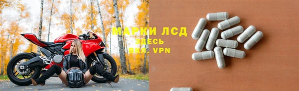 индика Аркадак