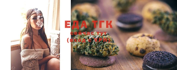 индика Аркадак