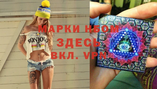 индика Аркадак