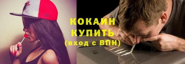 индика Аркадак