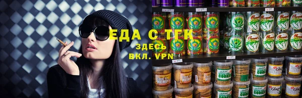 индика Аркадак