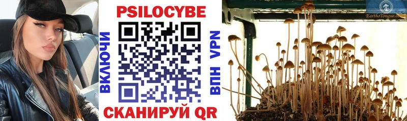 Галлюциногенные грибы Cubensis где можно купить Арск